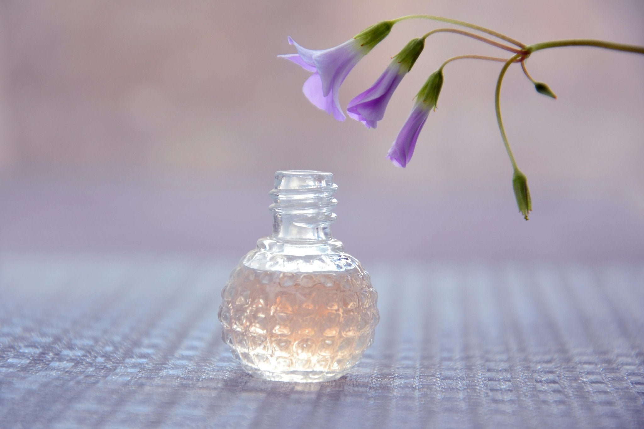 CAROLINA HERRERA FRAGRANCE OIL TYPES - ZAKAT FRAGRANCES LLC
