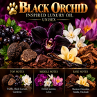 Black Orchid Inspired Luxury Oil