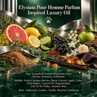 Elysium Pour Homme Parfum Inspired Luxury Oil