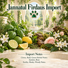 Jannatul Firdaus Import