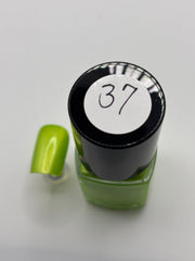 BOTTLE OF VERONICA WITH FAKE NAIL ANT THE NUMBER 37 ON TOP