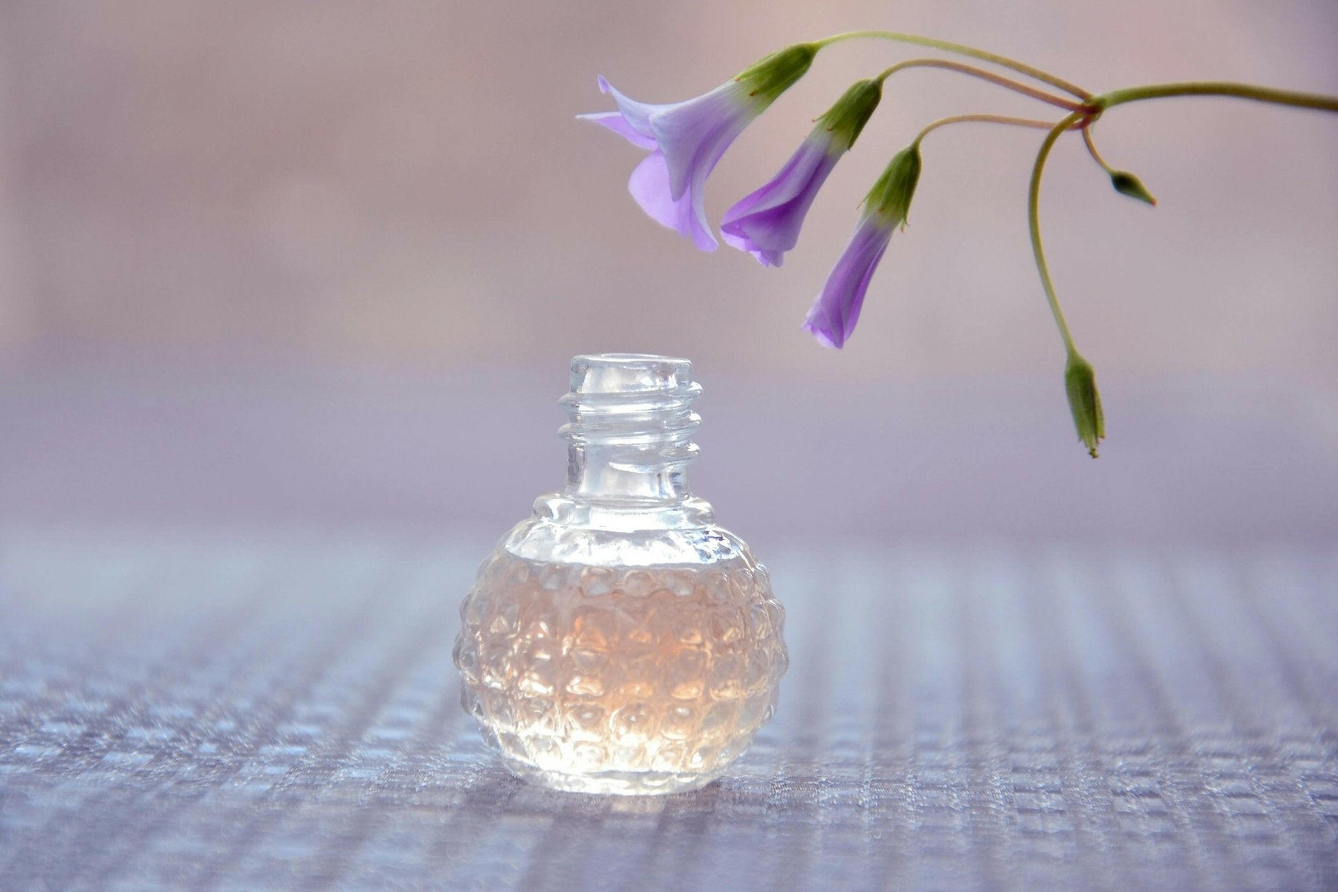 BAD BOY TYPE - ZAKAT FRAGRANCES LLC