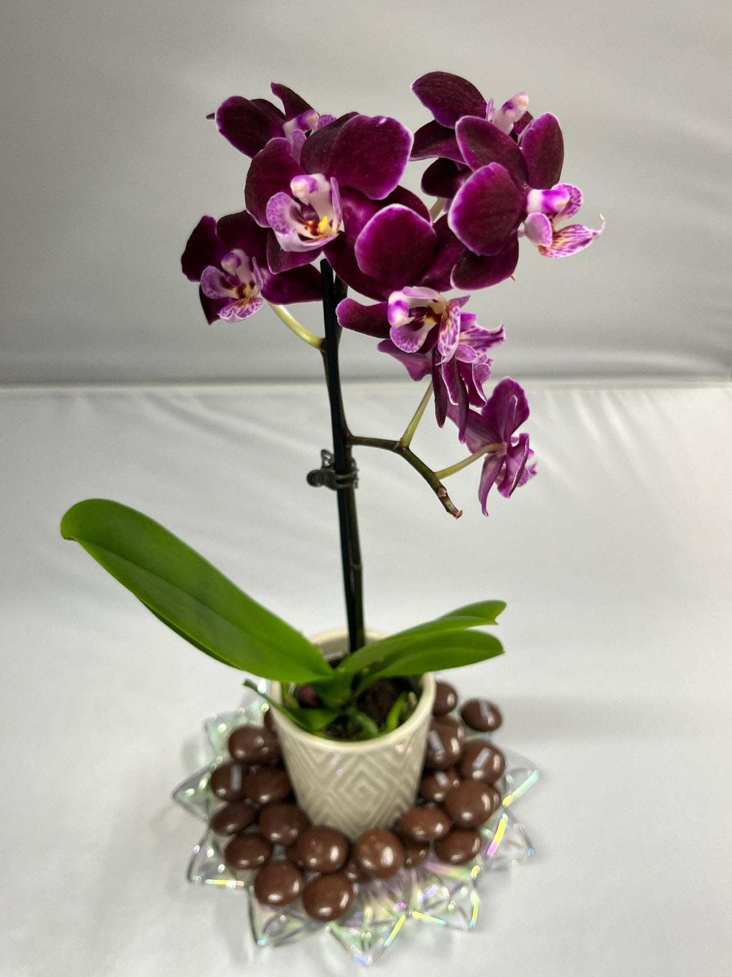 CHOCOLATE ORCHID - ZAKAT FRAGRANCES LLC